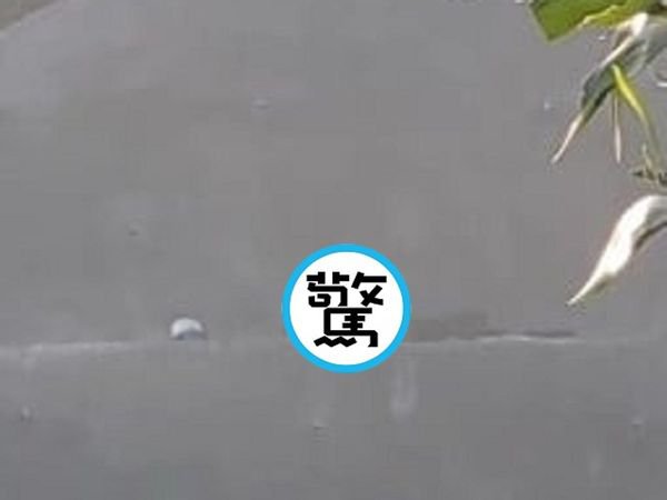 情侣登山以地为床缠绵  乡民看傻眼大叫“喂”
