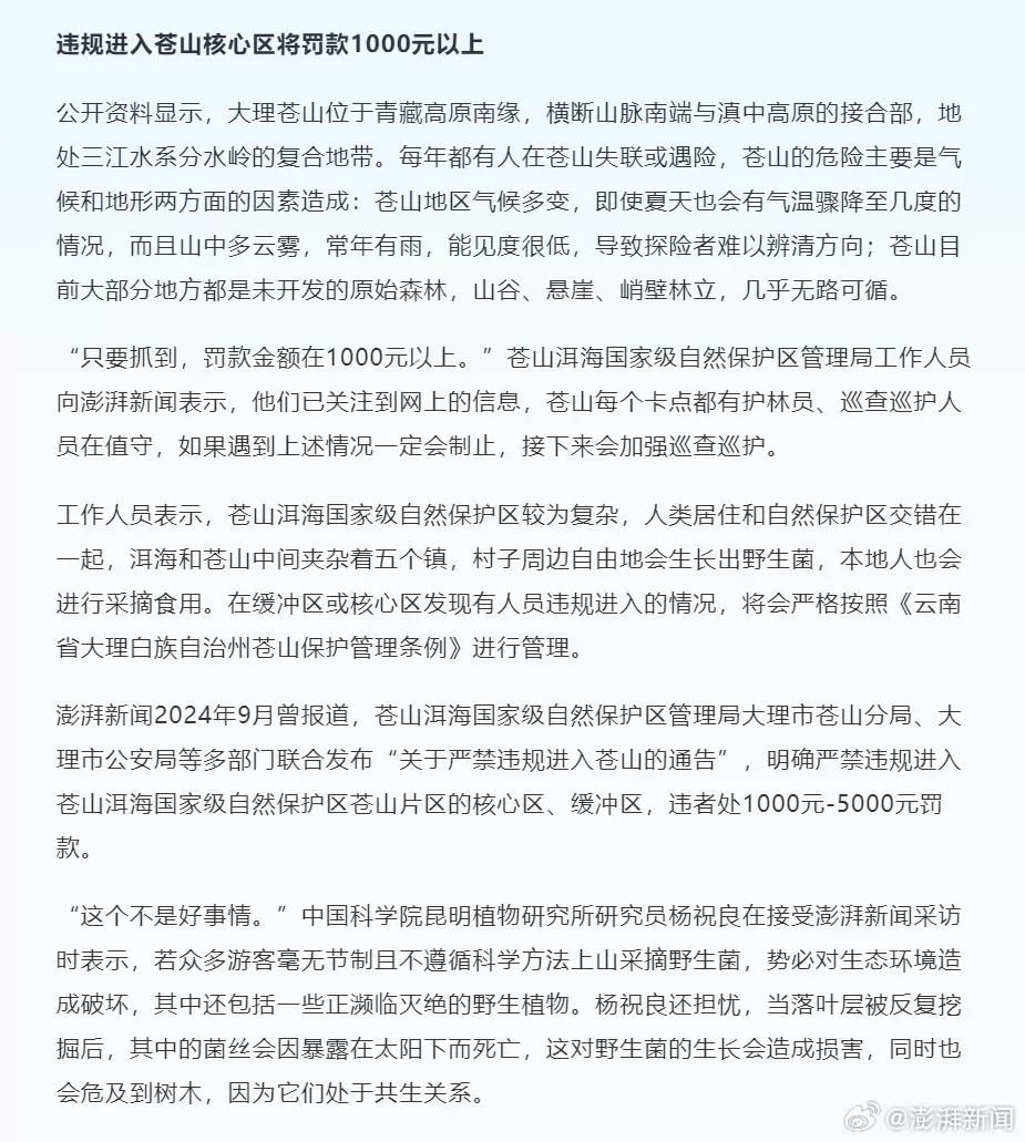 大理野生菌被指遭游客掠夺式采摘：有人掘地三尺找菌子