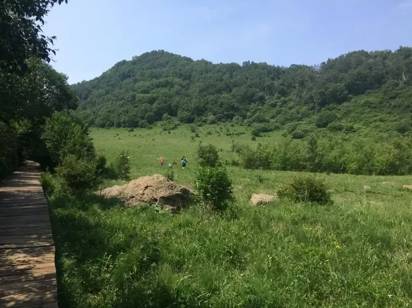 百花山草甸(图片来源:作者)