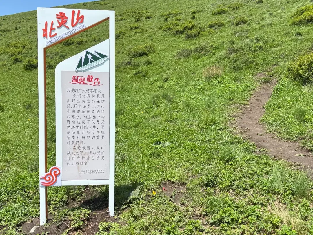 北灵山提醒游客野韭菜生态价值的标语