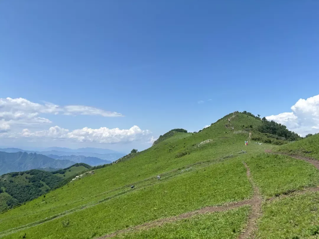 北灵山的高山草甸
