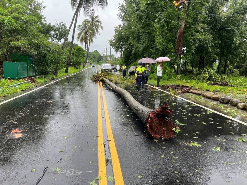 台南市楠西区一对父子台风过后载运水果欲至市场销售,撞上路上倒塌的树木,1死1伤。(读者提供) 台南市楠西区一对父子台风过后载运水果欲至市场销售,撞上路上倒塌的树木,1死1伤。(读者提供)