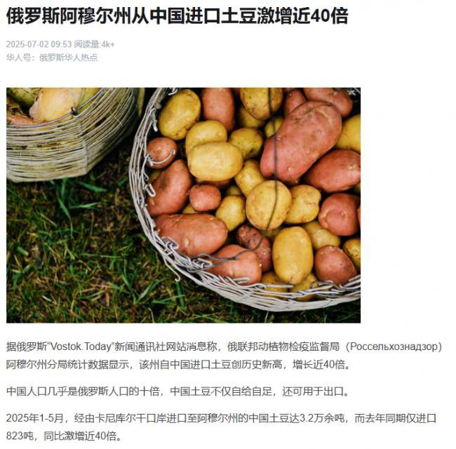 暴增40倍 俄国为何突然大量进口中国土豆?
