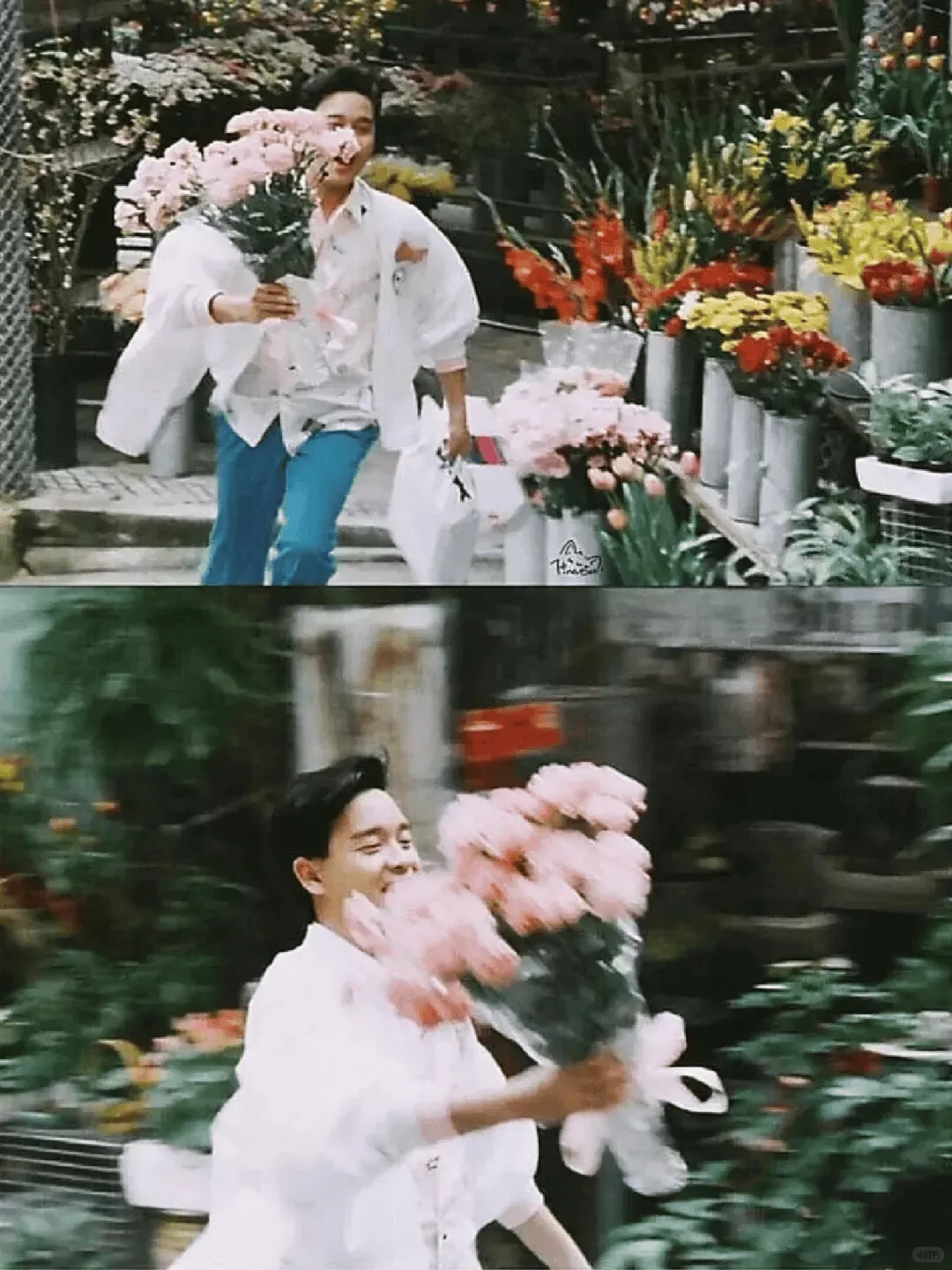 4部适合夏天看的电影 ,太治愈了