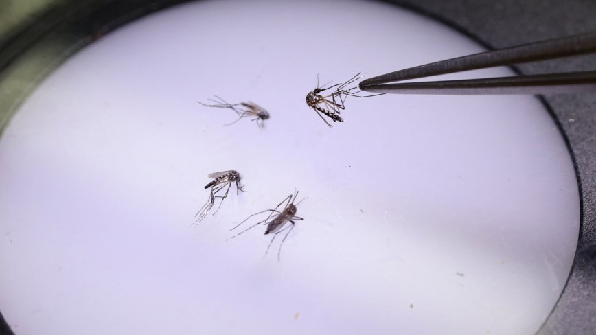 廣東爆新疫情逾2千人感染 民眾質疑通報延遲