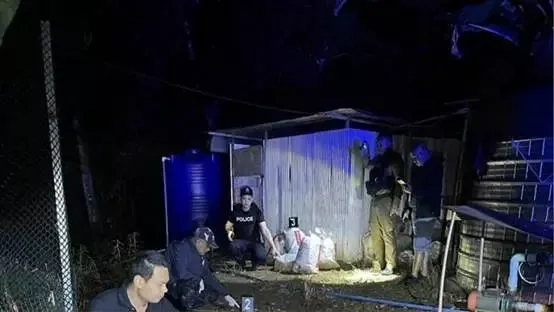 结婚当天,她发现丈夫居然还有俩妻子+10个娃!她果断悔婚却悲剧了…