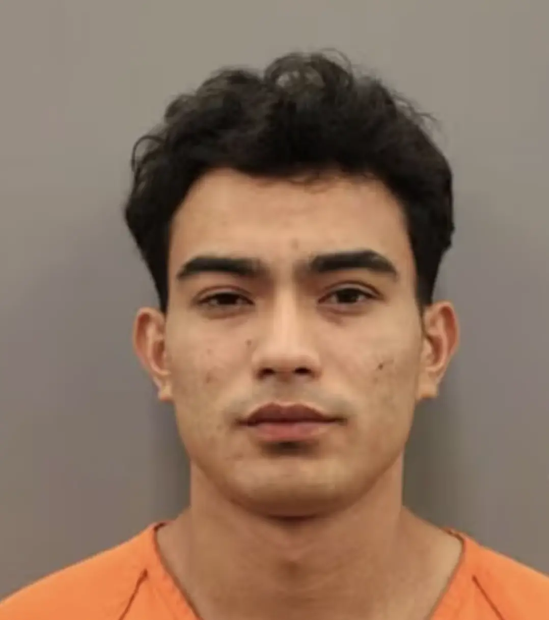 ▲22岁男子佩尔多莫系嫌疑人