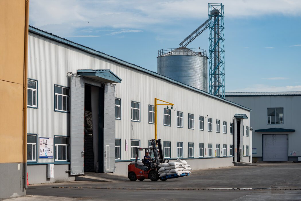 满洲里的一家工厂将来自俄罗斯的油菜籽压榨成菜籽油。