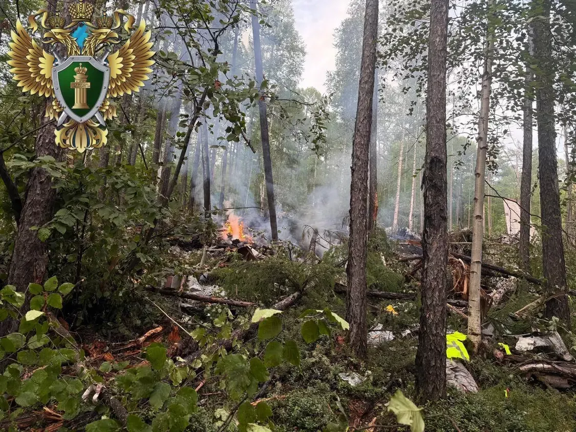 首批俄失事客机坠毁现场图片公布 机上有名中国公民