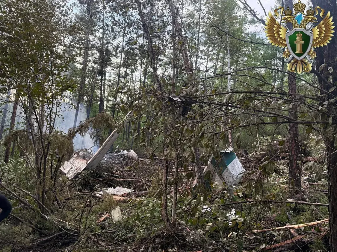 △俄远东运输检察院公布的安-24飞机失事现场图片