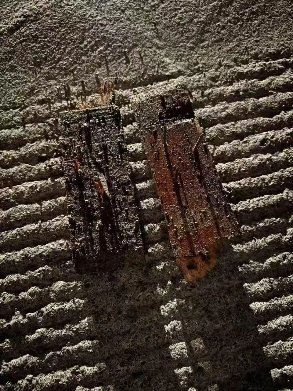 安葬老人必经之路被人撒上百颗钉子 墓地还被埋死狗