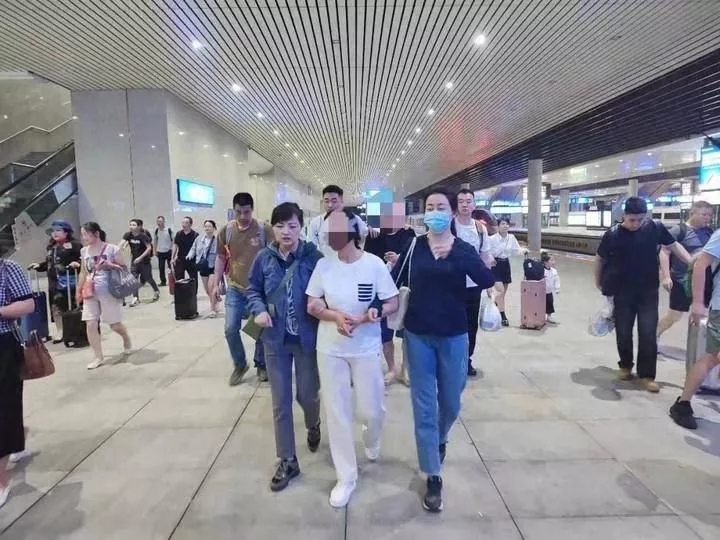 假扮熊猫"粉丝"造谣敛财,揭开"大熊猫被虐待"的利益链