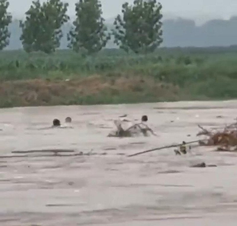  北京近日遭遇罕見暴雨襲擊，密雲區發生1959年以來最大降雨，引發大規模洪水侵襲。 影片中有三人落入洪流之中。圖：翻攝自 X 