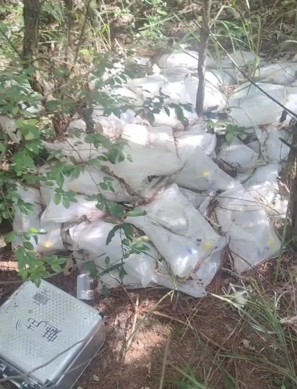 “树林发现大量丢弃药品,还有针头”?是怎么回事?