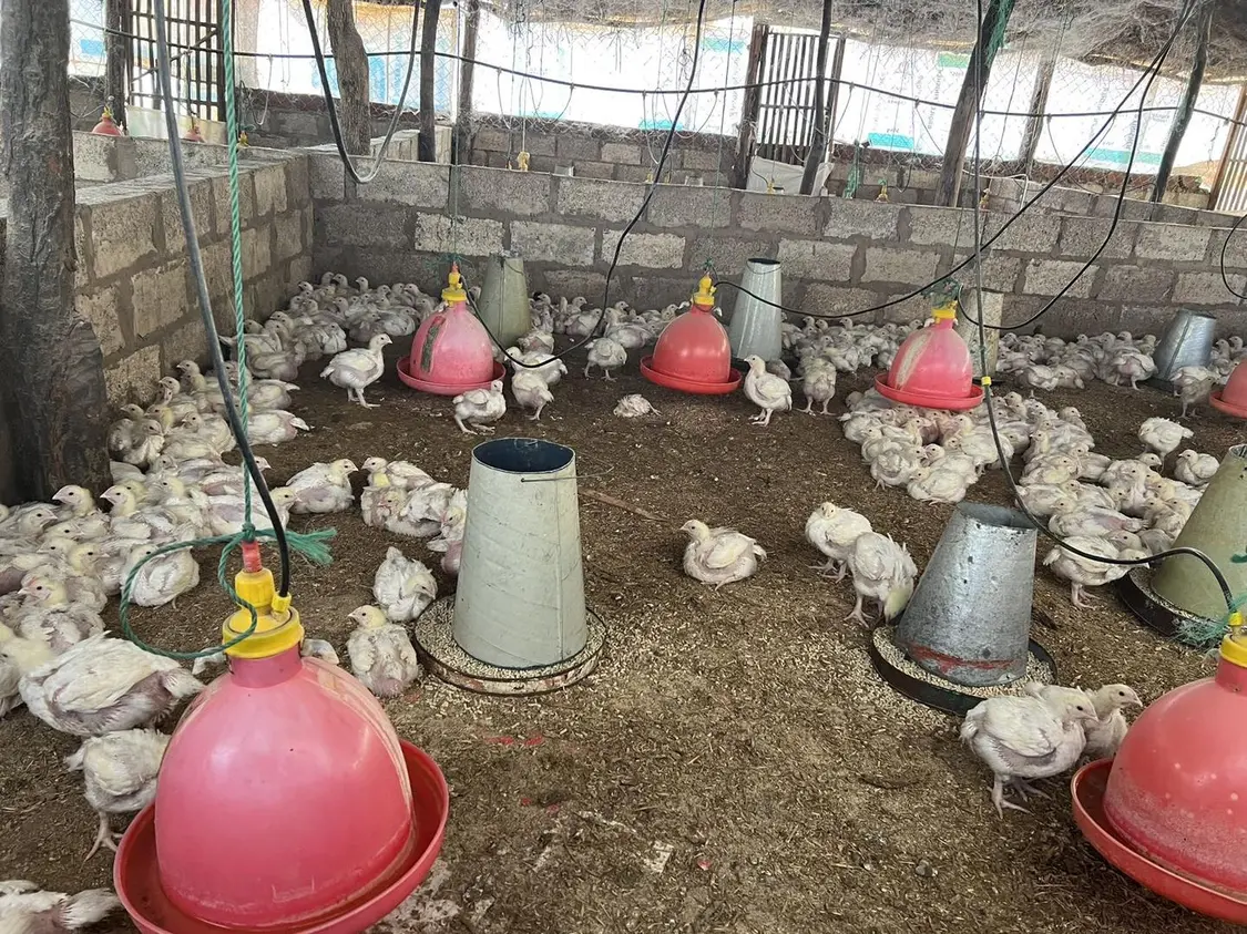 ▲石女士的农场 图据受访者