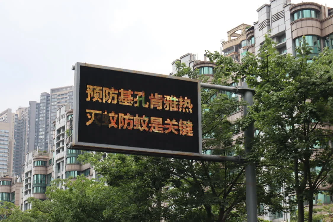 实探基孔肯雅热三级响应镇： 基层防疫任务重