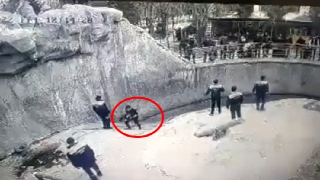 工作人员见状紧急冲入棕熊区，将小女童带离现场。 （图/翻摄Tashkent Zoo/east2west news） 