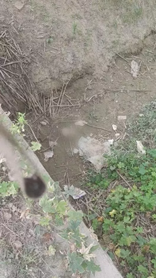 女子跑步时意外发现沟渠内有头骨 警方回应