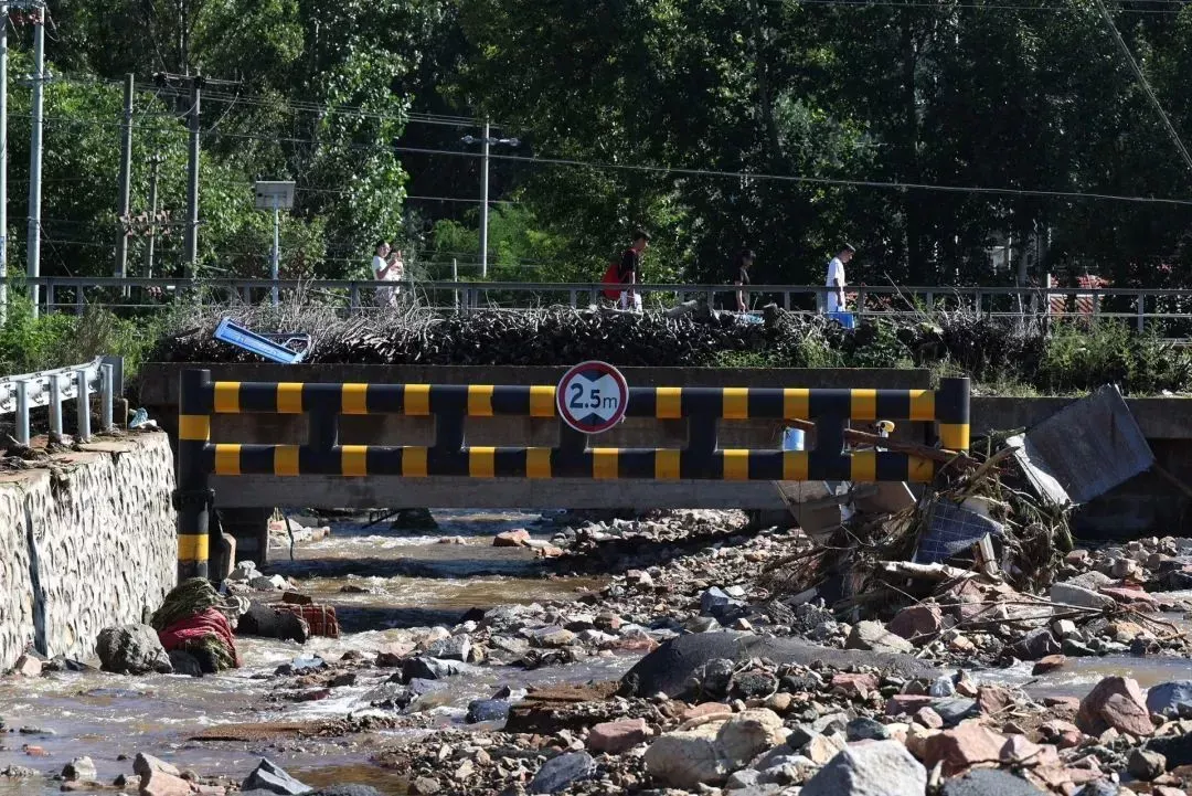 中新社记者 盛佳鹏 摄