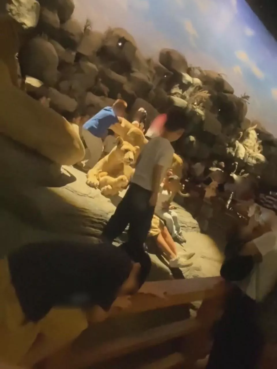 多名小孩越过上海自然博物馆围栏,进入展区触摸动物标本