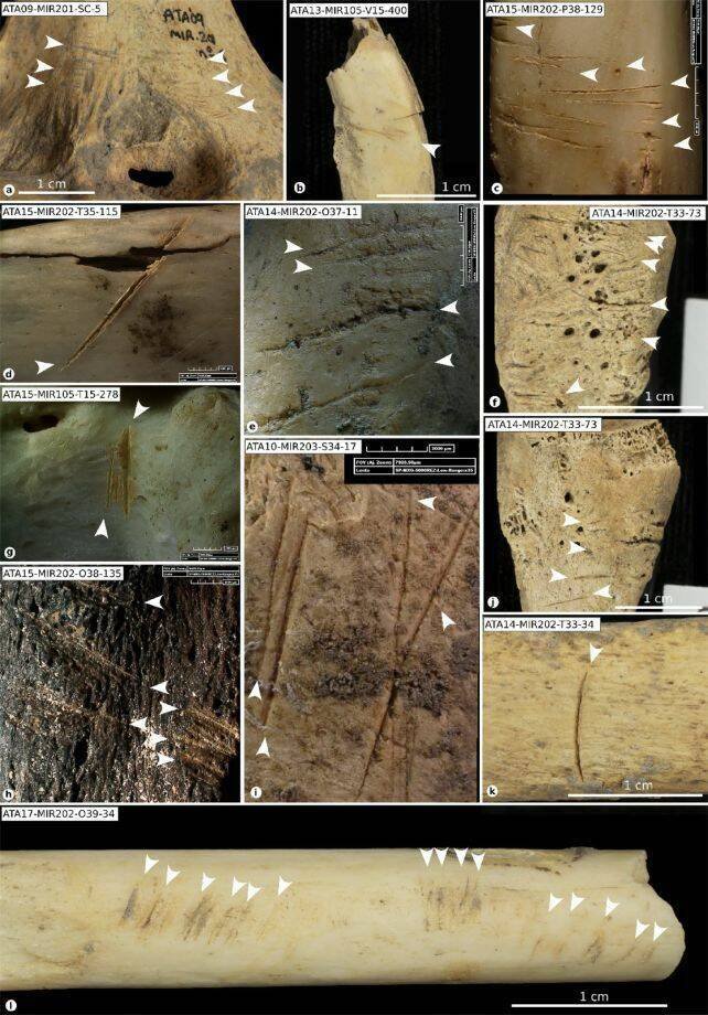 研究团队记录的部分切割痕迹样本。（图：IPHES-CERCA）