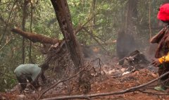 中国制直-9直升机坠毁 加纳国防部长等8人丧命