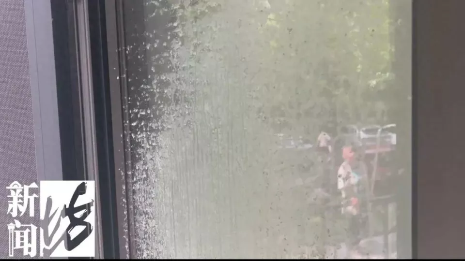 上海一居民家中被喷射不明液体!30多扇窗全遭殃