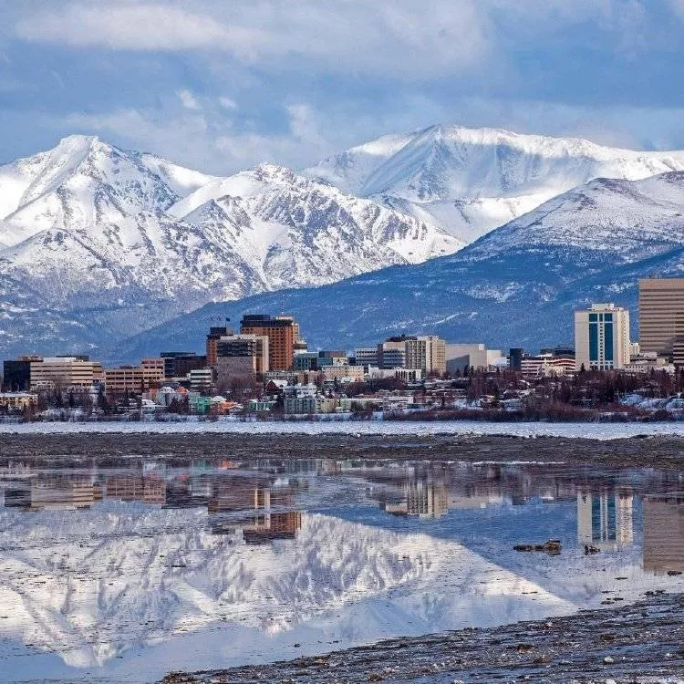 普京与特朗普即将见面,乌克兰陷入困境