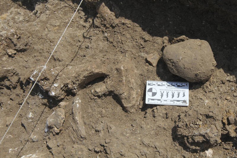 内杨加遗址的奥都万石器发现地。（美联社）