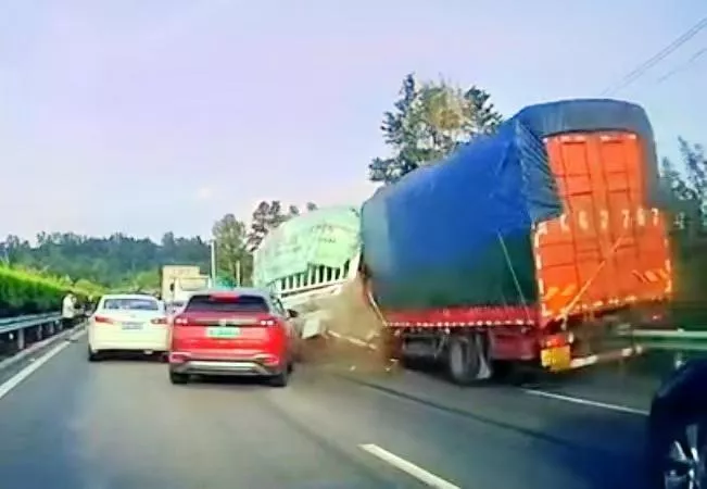 9万元买的汗血宝马，高速事故中死亡，主人回应