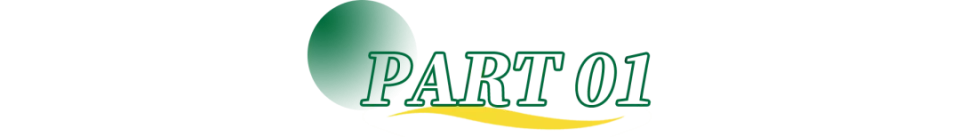 985伴读师背后，一个学历灰产业正在浮出