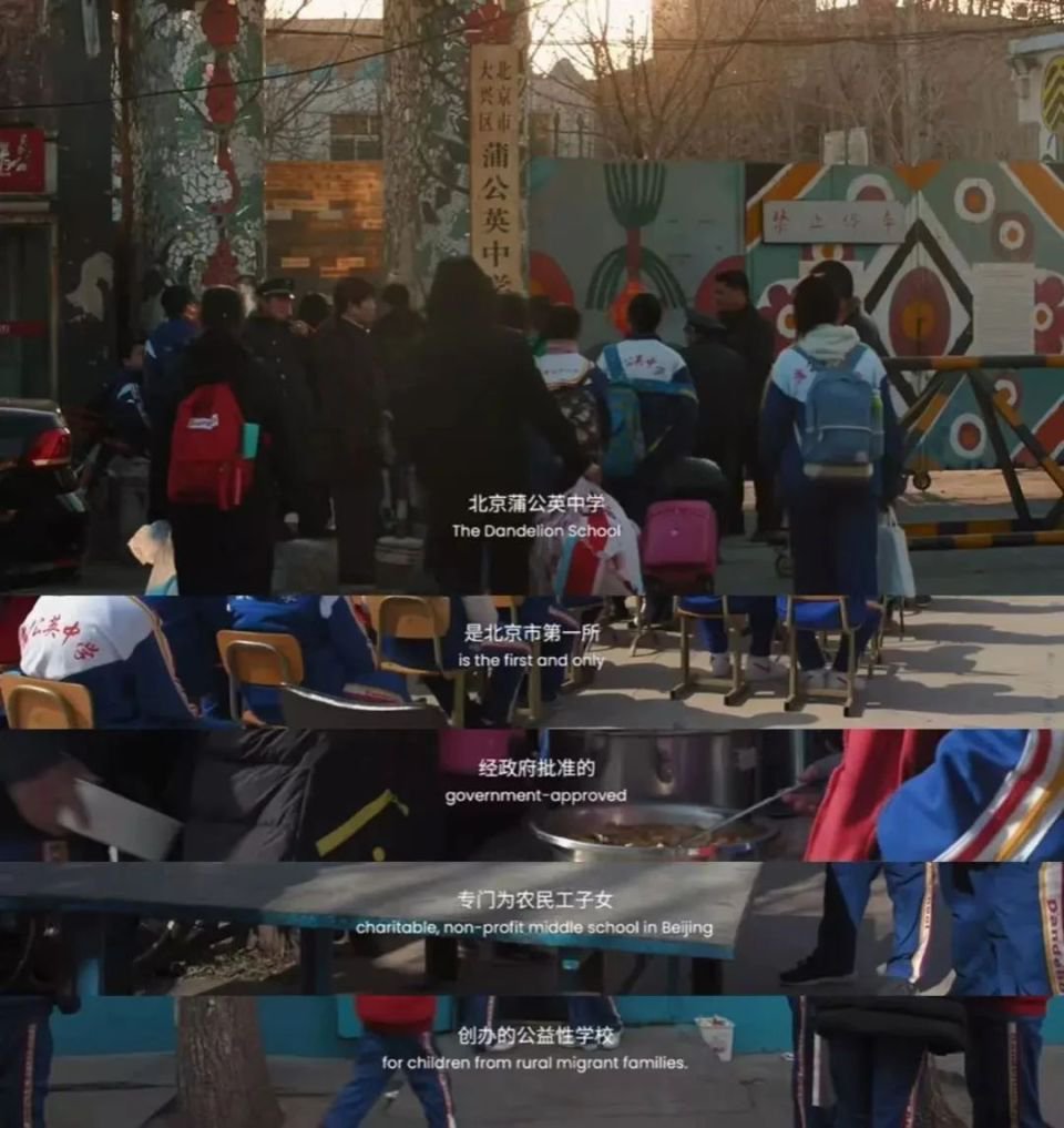 真实特写：纽约的哈林区，中国的蒲公英！