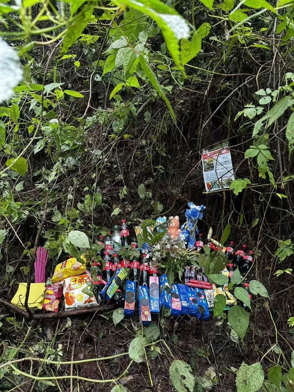 在苍山寻找自闭症孩子的五天，搜救者透露关键