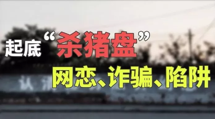 美华人科学家身陷“美女杀猪盘” 被掏光$250万积蓄!