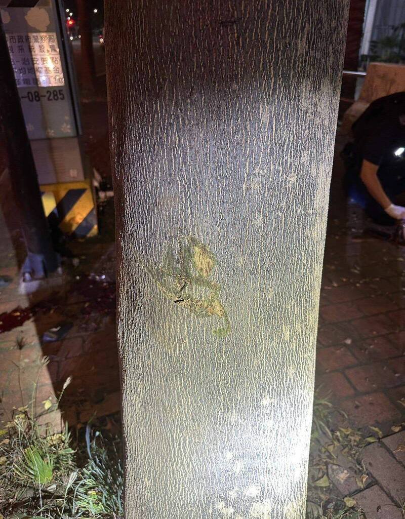台中陈姓女子，昨晚酒后骑车行经大里国光路、中兴路口自撞路树，树干上留下撞击痕迹。（记者陈建志翻摄）