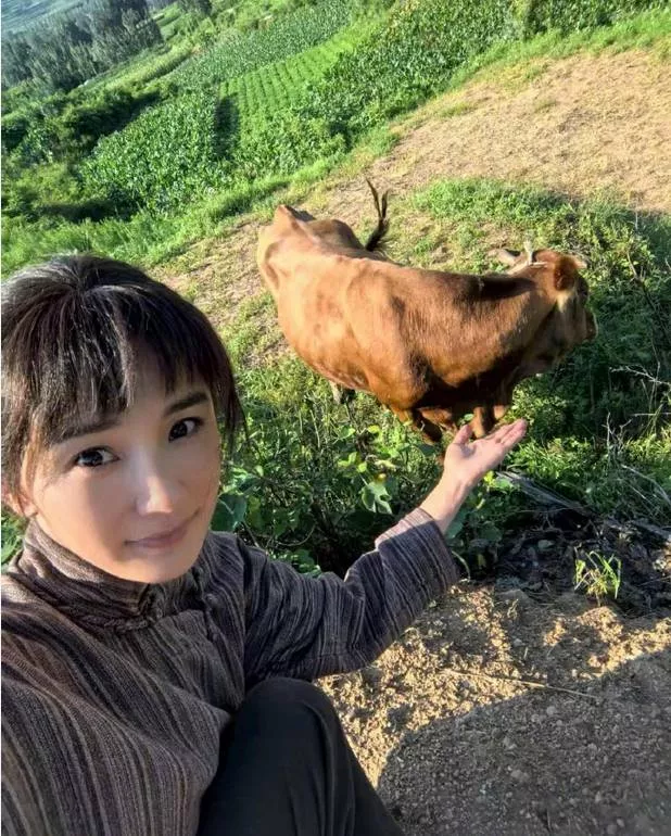 杨幂爆款三连击？85花转型不仅仅靠扮丑