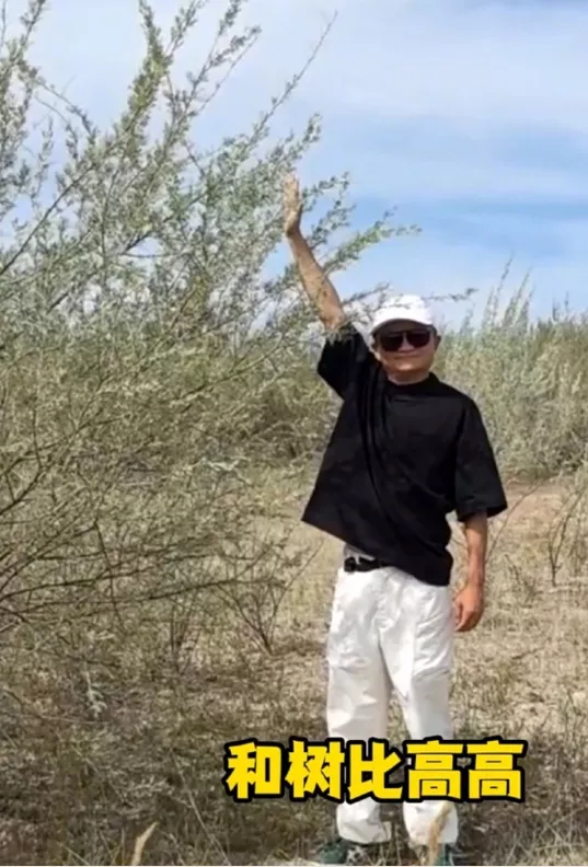 马云现身蚂蚁森林:替大家看看树长得怎么样了