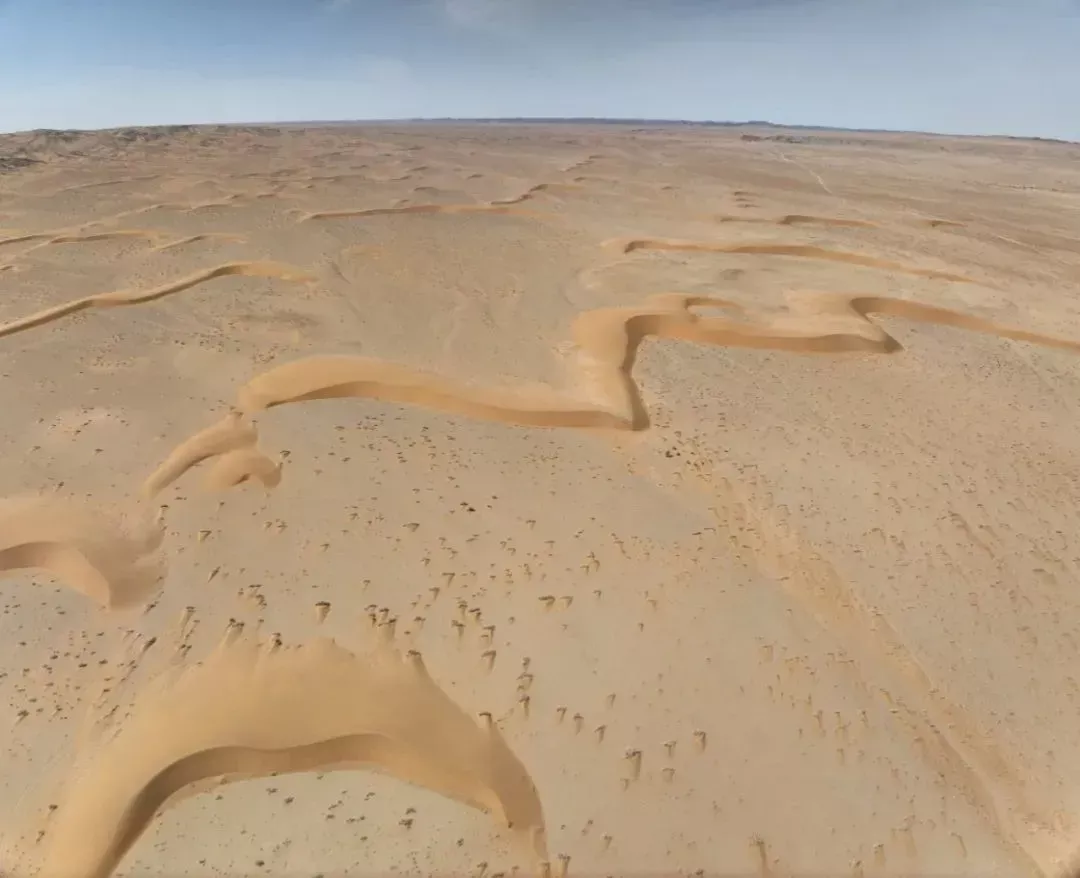 近40年，中国西部的沙丘“跑不动了”