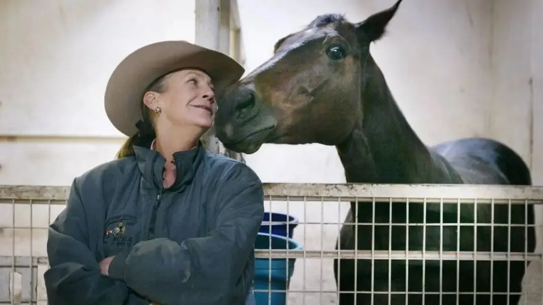 Alice Walton cutting ties with cutting horse stock | Fort Worth Star ...