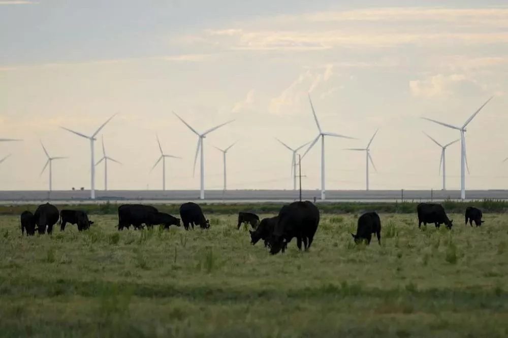 喊封杀风光电 看川普9关键变革 掀起美国核能复兴