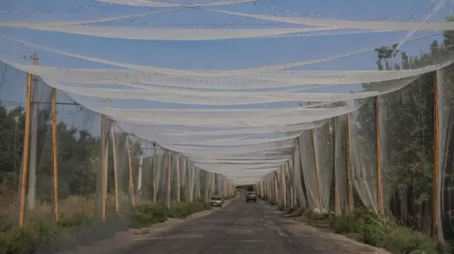 BBC:为何顿内茨克对乌克兰防御如此重要?