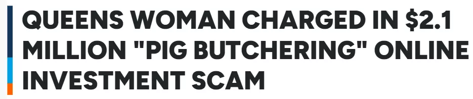 纽约华女涉210万美元“杀猪盘”诈骗被捕