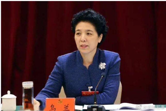 这个女老虎很神秘,不简单 这个女老虎很神秘,不简单