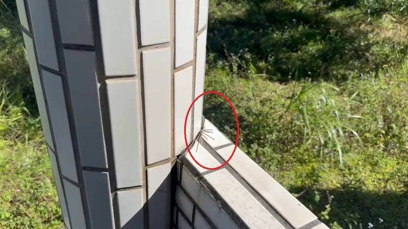 新北金姓女子与花莲庄姓女子在花莲同居，不料遭打死弃尸，凶手之一还经常到弃尸地点上香留下香脚。（民众提供）