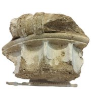 2400年前古文物重返家园！ 德女游希腊偷文物65年后归还了