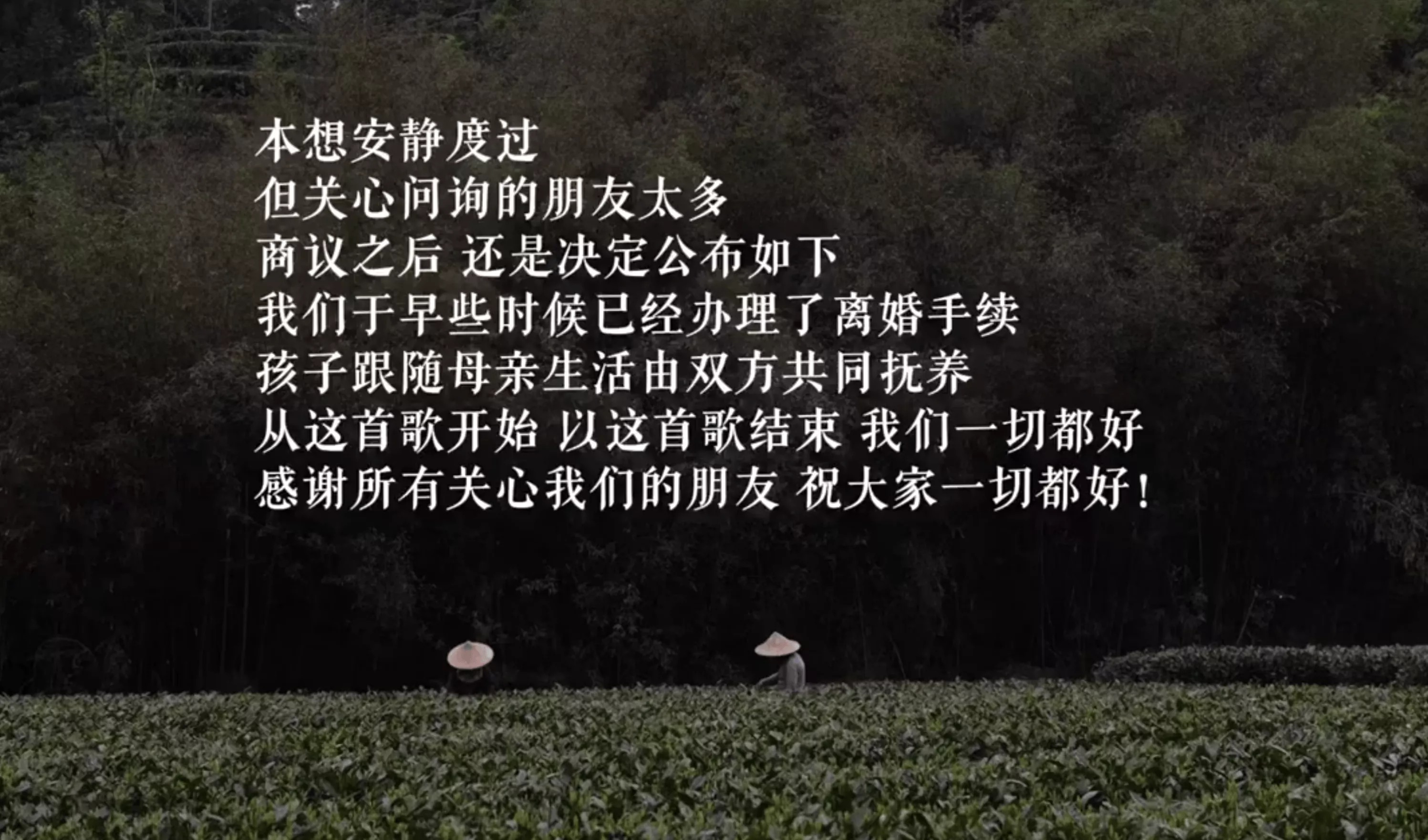 李亚鹏官宣离婚,和海哈金喜和平分手