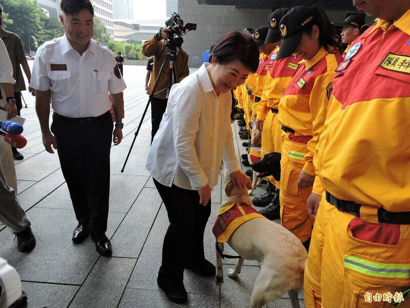 卢秀燕与4只搜救犬互动。（记者苏金凤摄）
