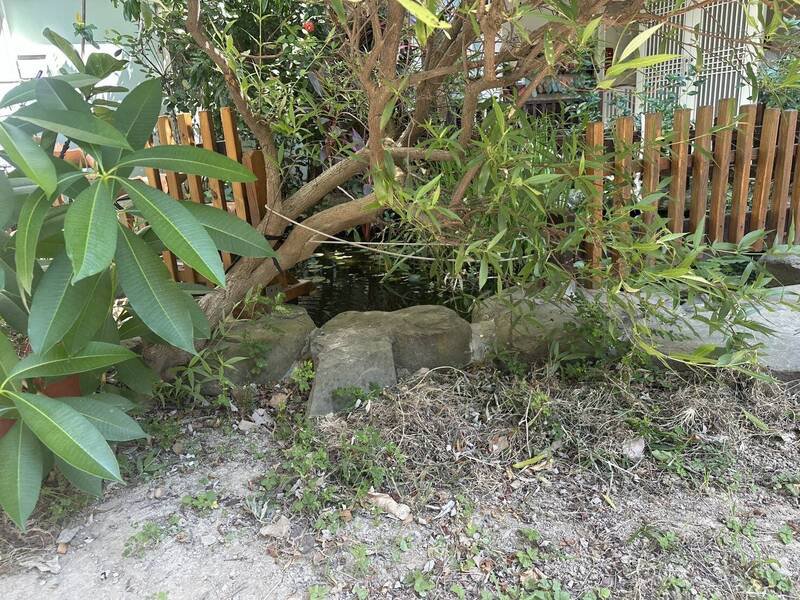 女婴不明原因掉入园内约20公分深的生态池有一处缺口。（民众提供）