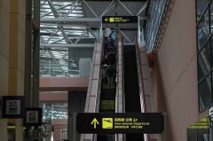 30年没弄丢过行李！日本「这机场」创全球纪录  最神关键曝光