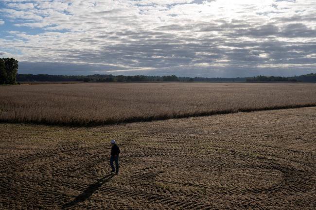 曝习稀土大战真实用意!却不小心玩过火 曝习稀土大战真实用意!却不小心玩过火
